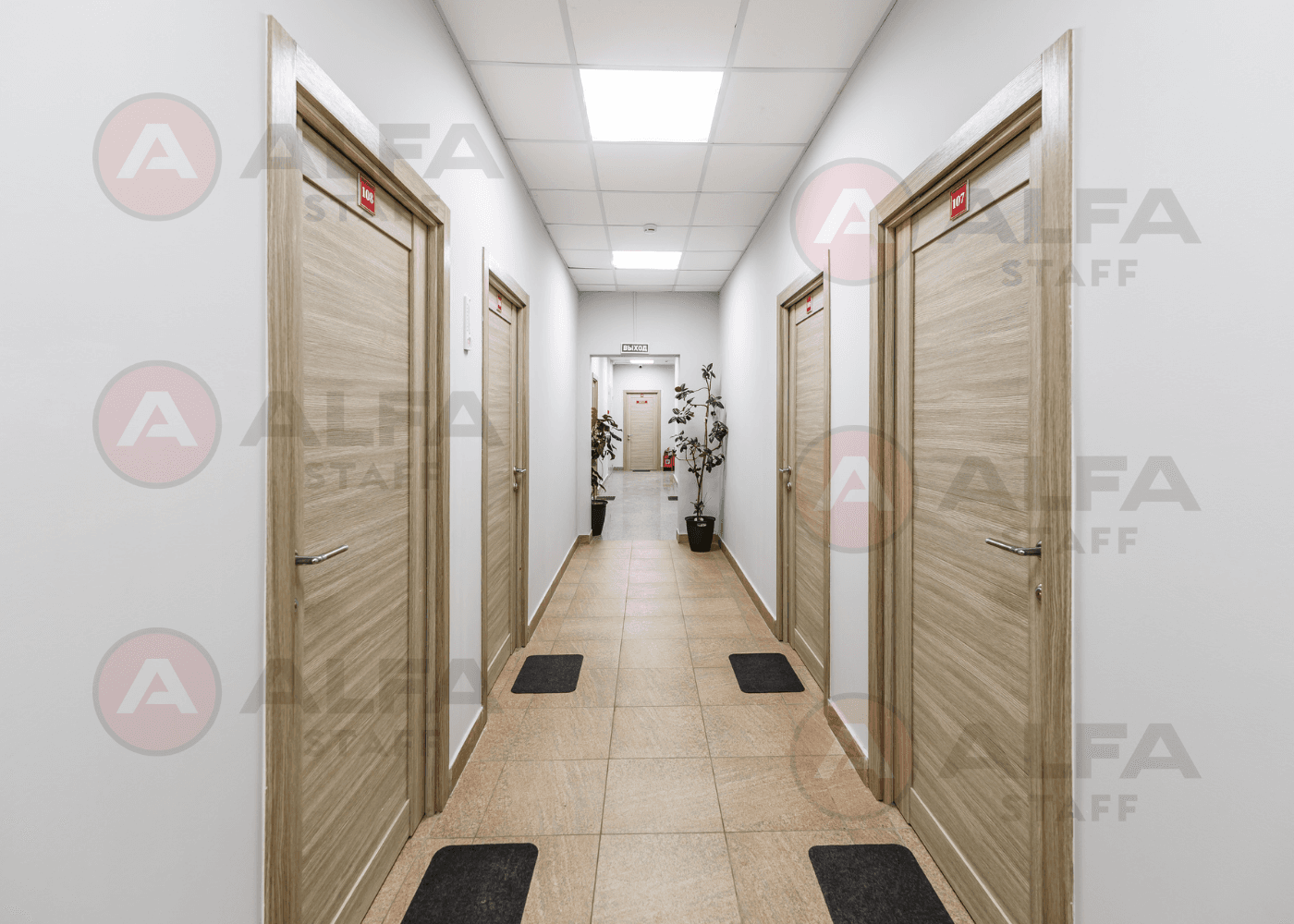 Превью 2